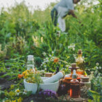 an-old-woman-collects-medicinal-herbs-selective-f-2024-12-19-15-02-50-utc-2G8RVW9